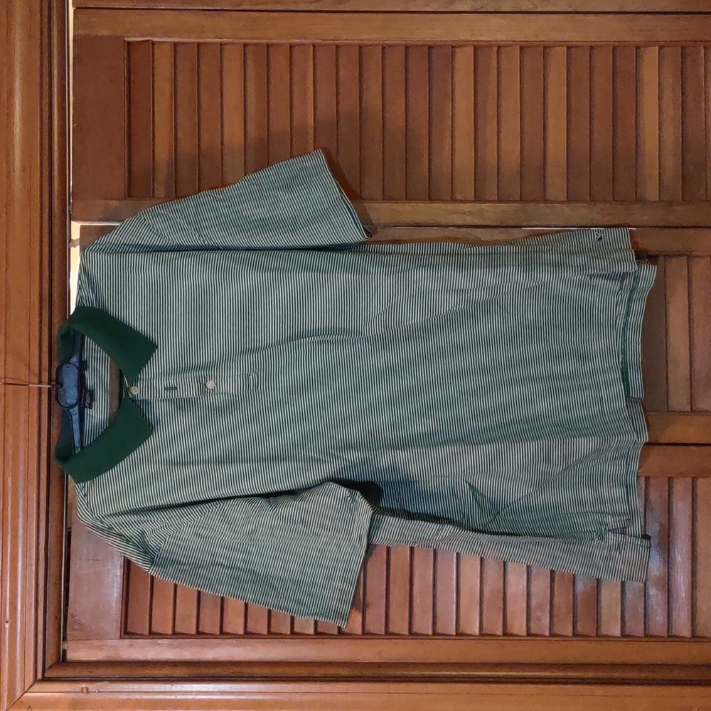 Green and white striped polo